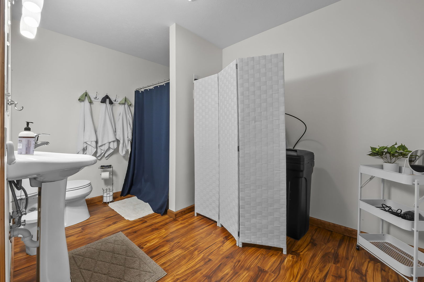 1825 Bald Knob Road Alto Pass, IL 62905 - Photo 17 of 44