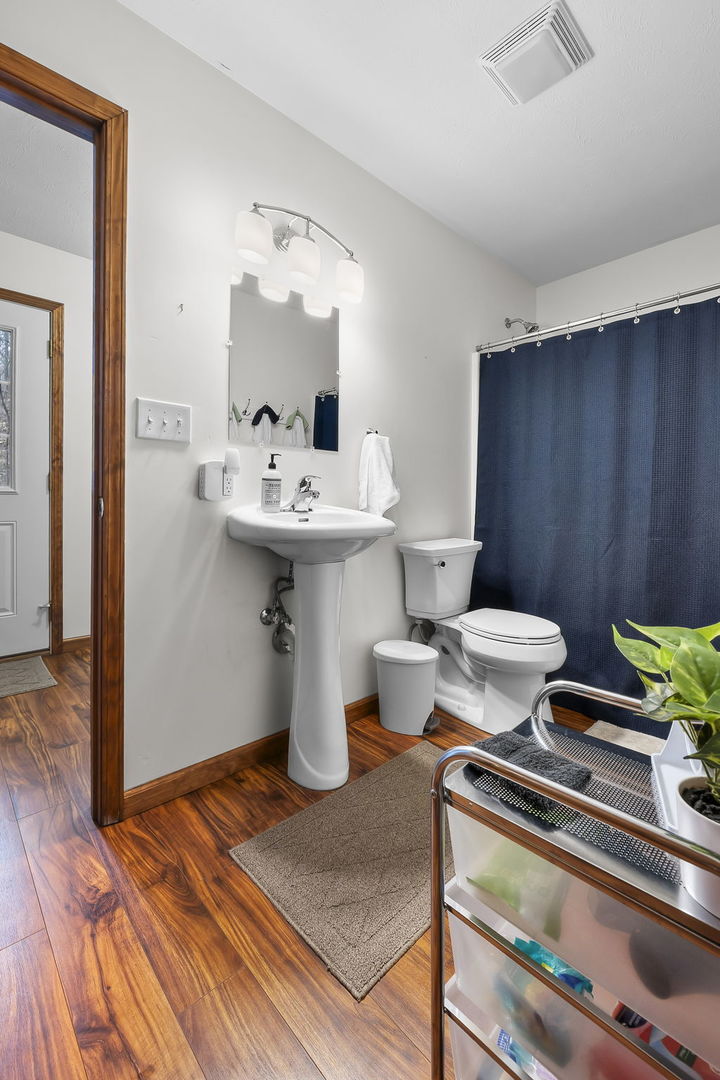 1825 Bald Knob Road Alto Pass, IL 62905 - Photo 18 of 44