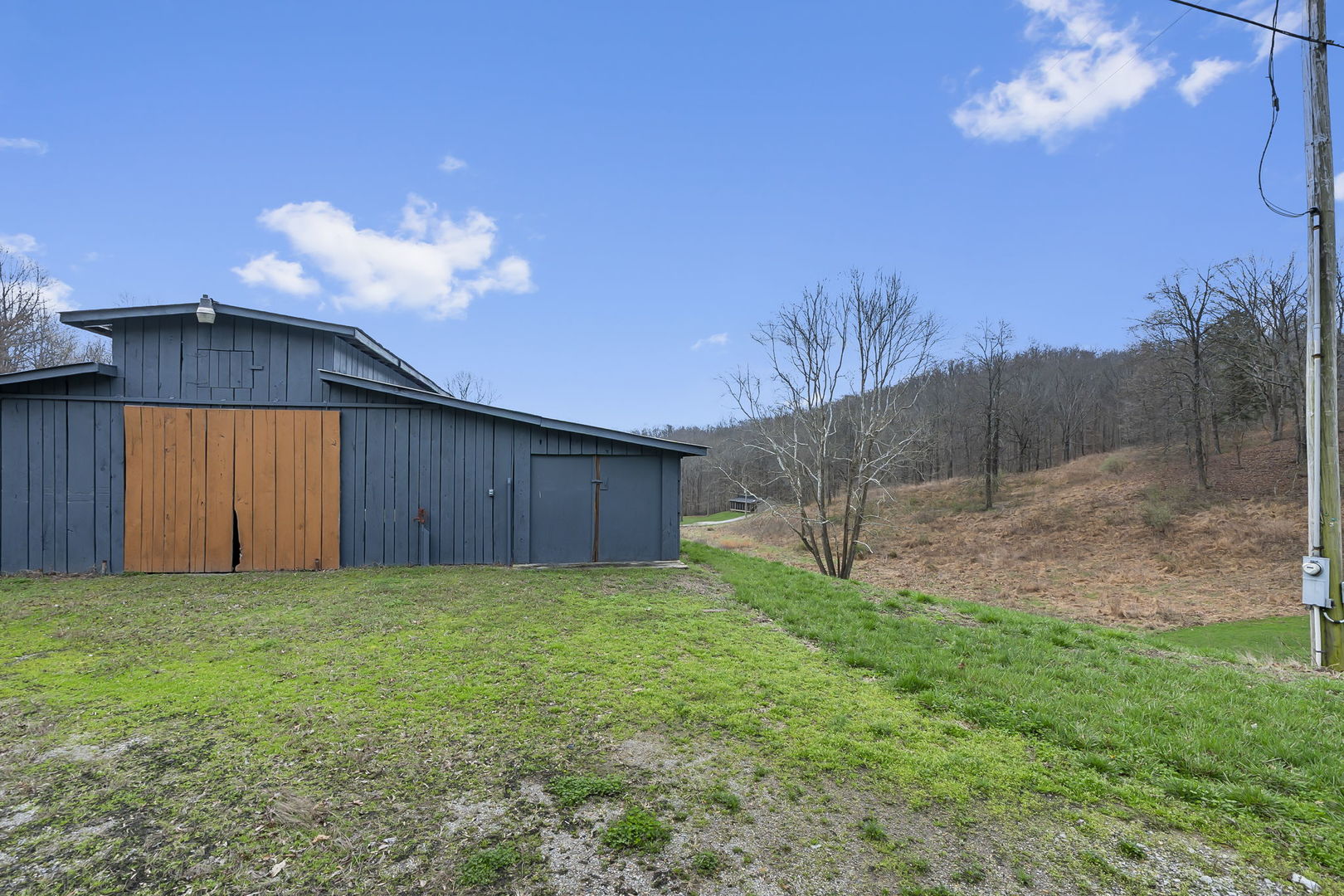 1825 Bald Knob Road Alto Pass, IL 62905 - Photo 30 of 44