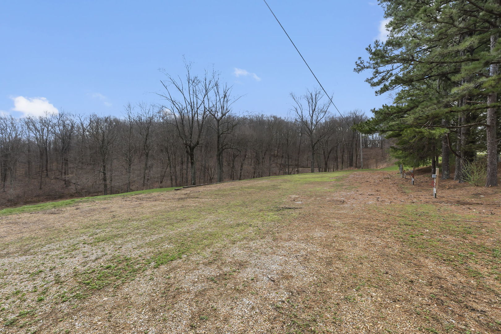 1825 Bald Knob Road Alto Pass, IL 62905 - Photo 39 of 44