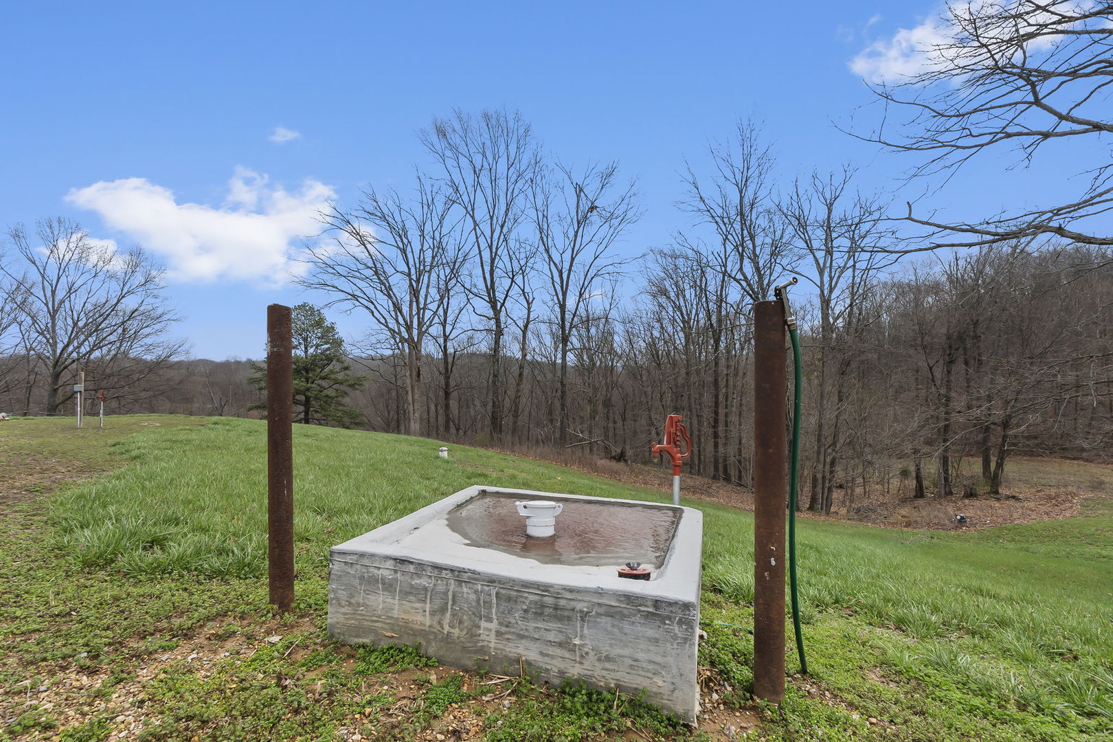 1825 Bald Knob Road Alto Pass, IL 62905 - Photo 40 of 44