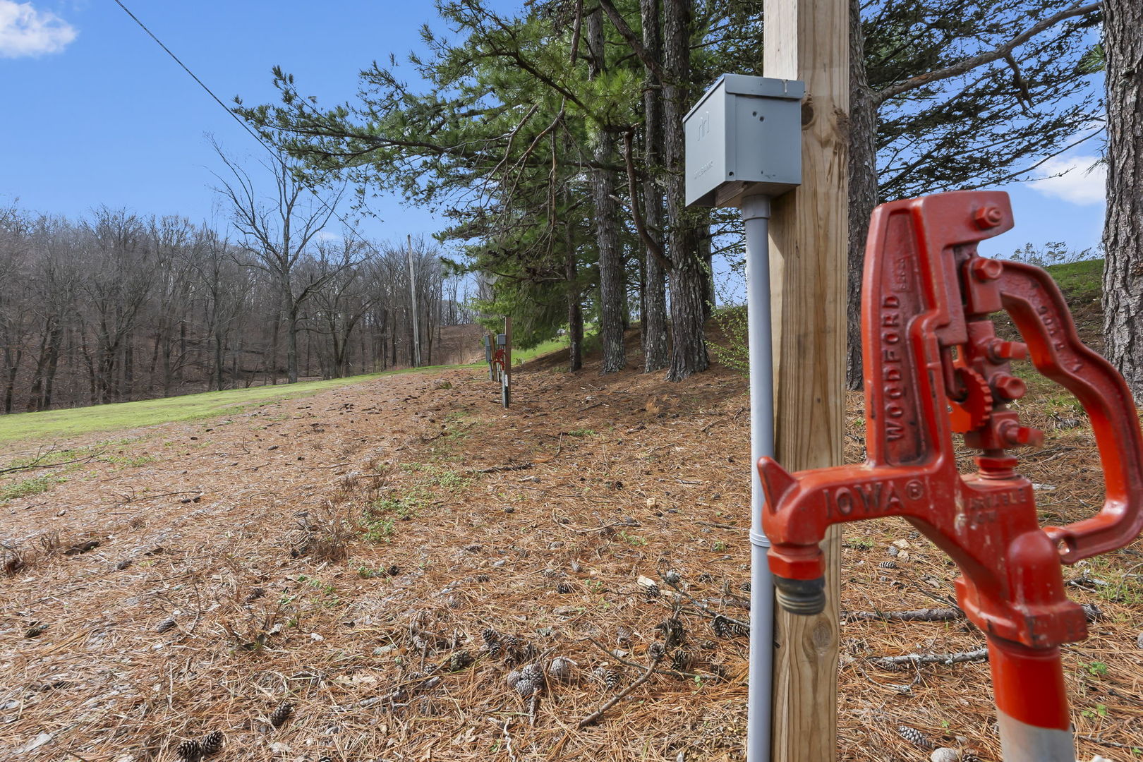 1825 Bald Knob Road Alto Pass, IL 62905 - Photo 41 of 44