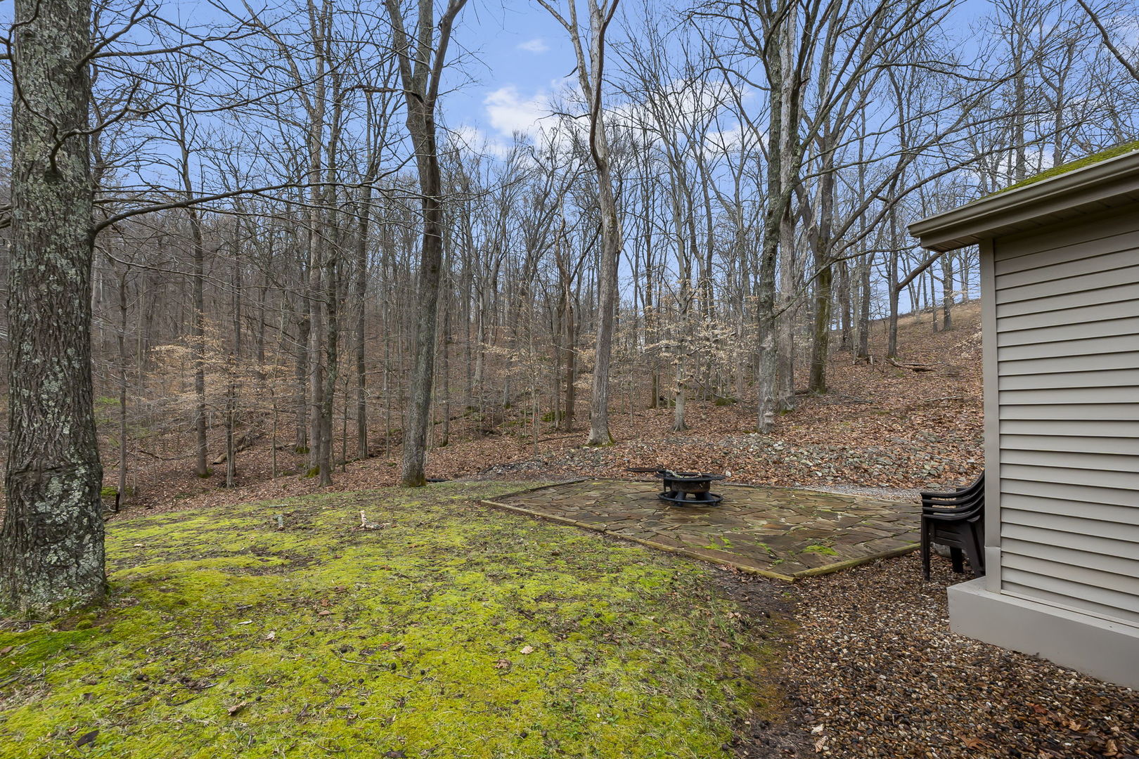 1825 Bald Knob Road Alto Pass, IL 62905 - Photo 9 of 44