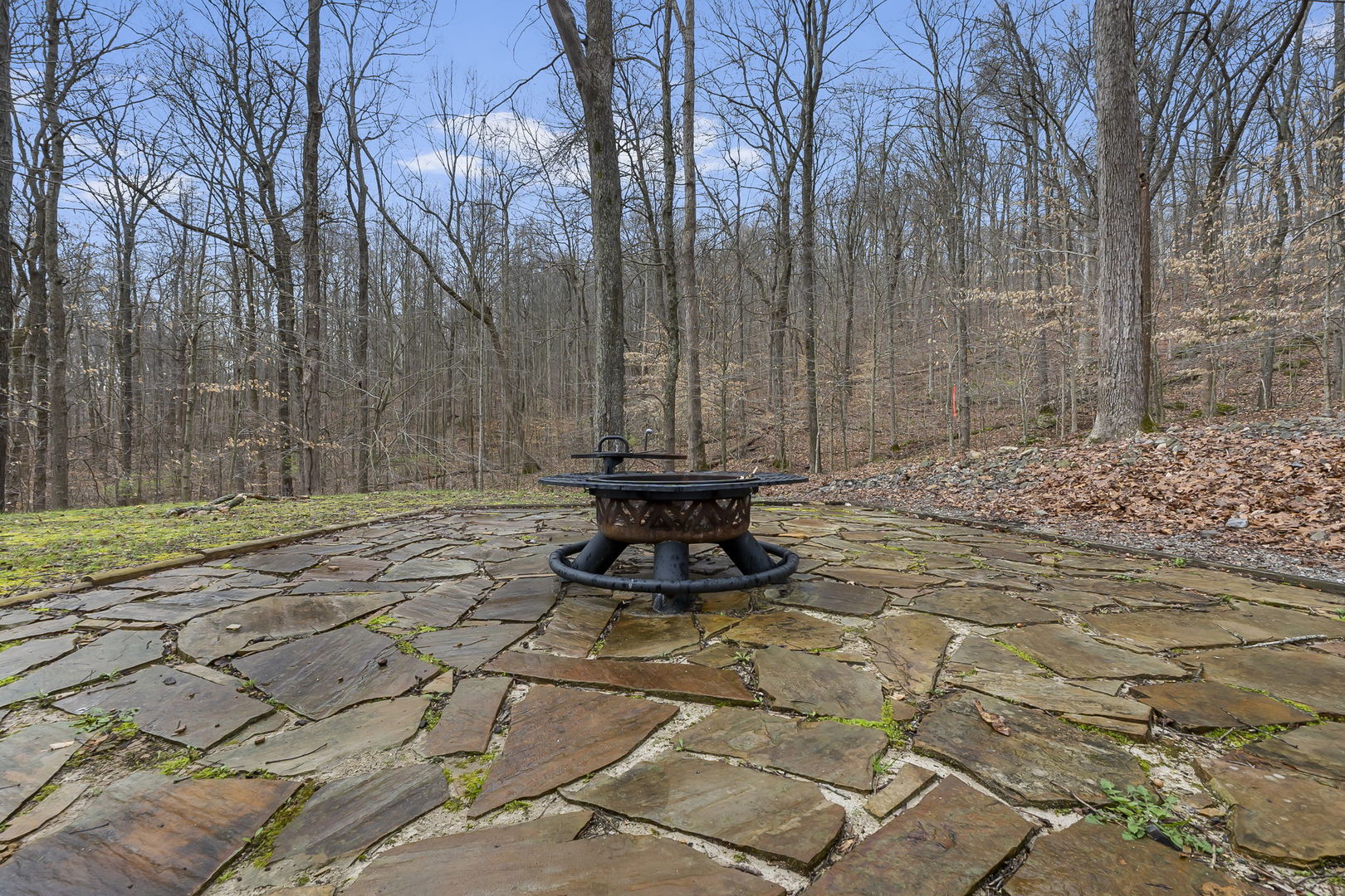 1825 Bald Knob Road Alto Pass, IL 62905 - Photo 10 of 44