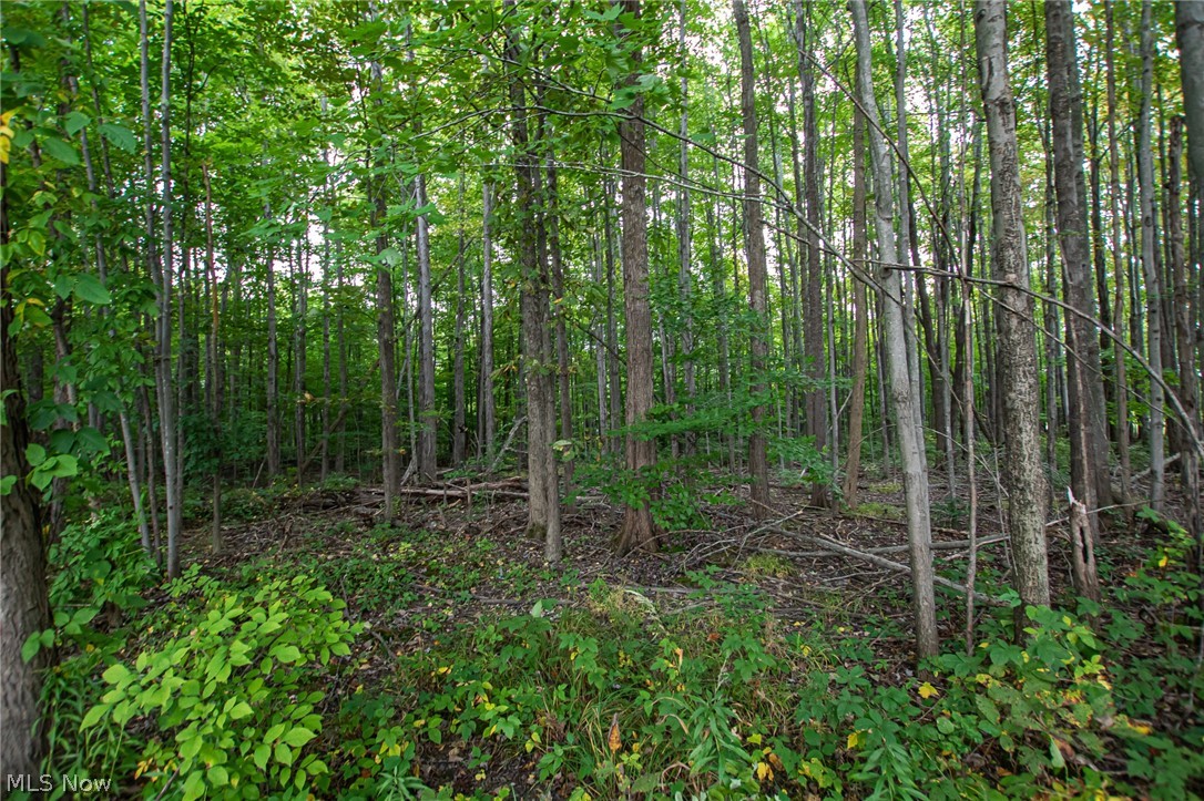 9747 Crow Road Litchfield, OH 44253 - Photo 10 of 29 Gallery Image 10