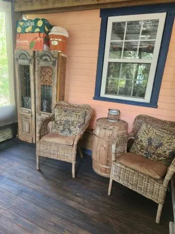 a view of a backyard with plants and large trees