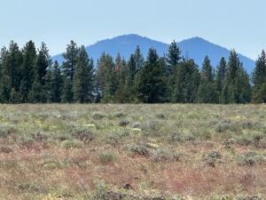 0 Rim Drive, Unit LOT 29 Chiloquin, OR 97639 - Photo 1 of 5 Lot
