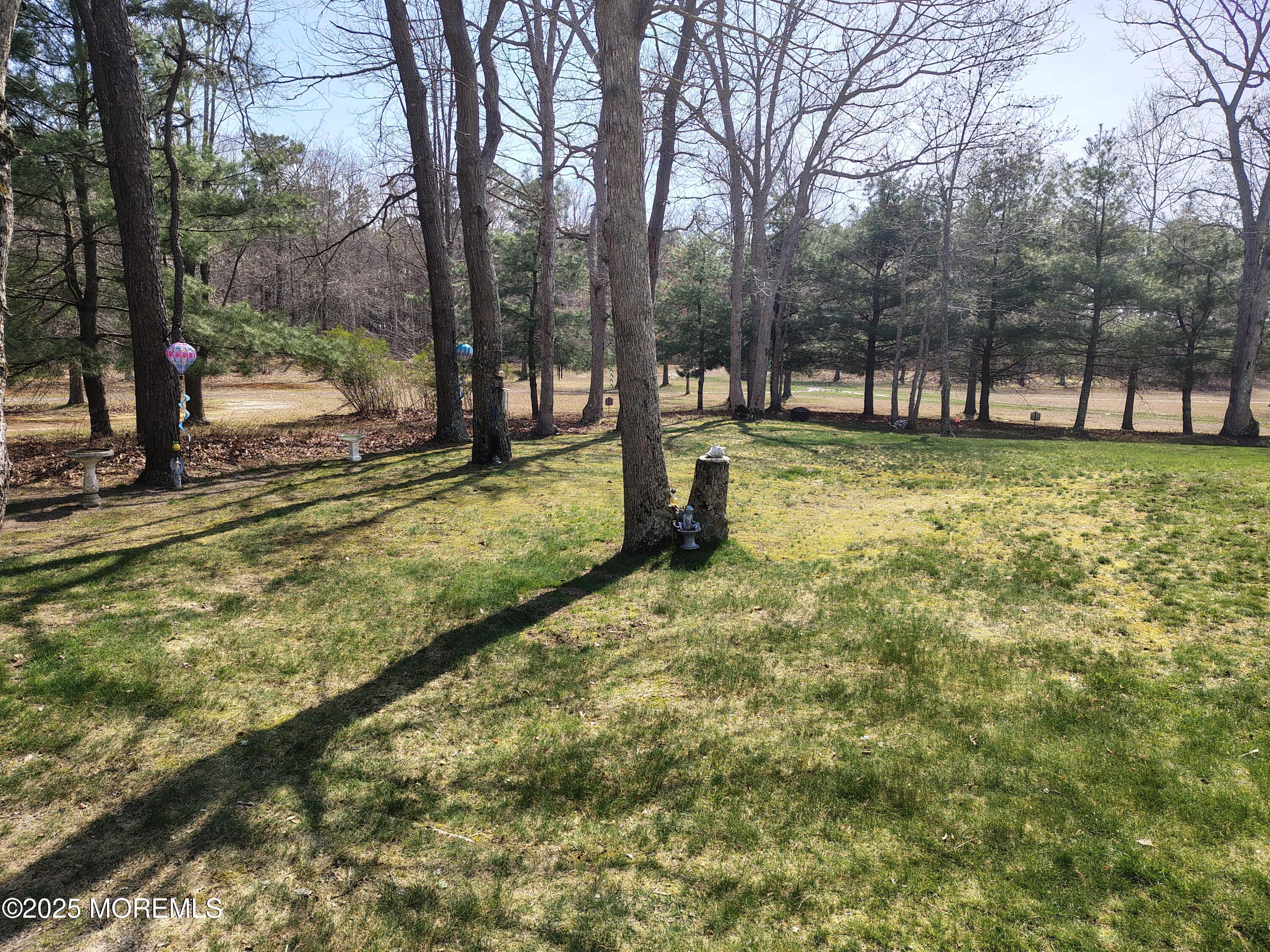 18 Mount Ranier Drive Howell, NJ 07731 - Photo 45 of 52 MR21