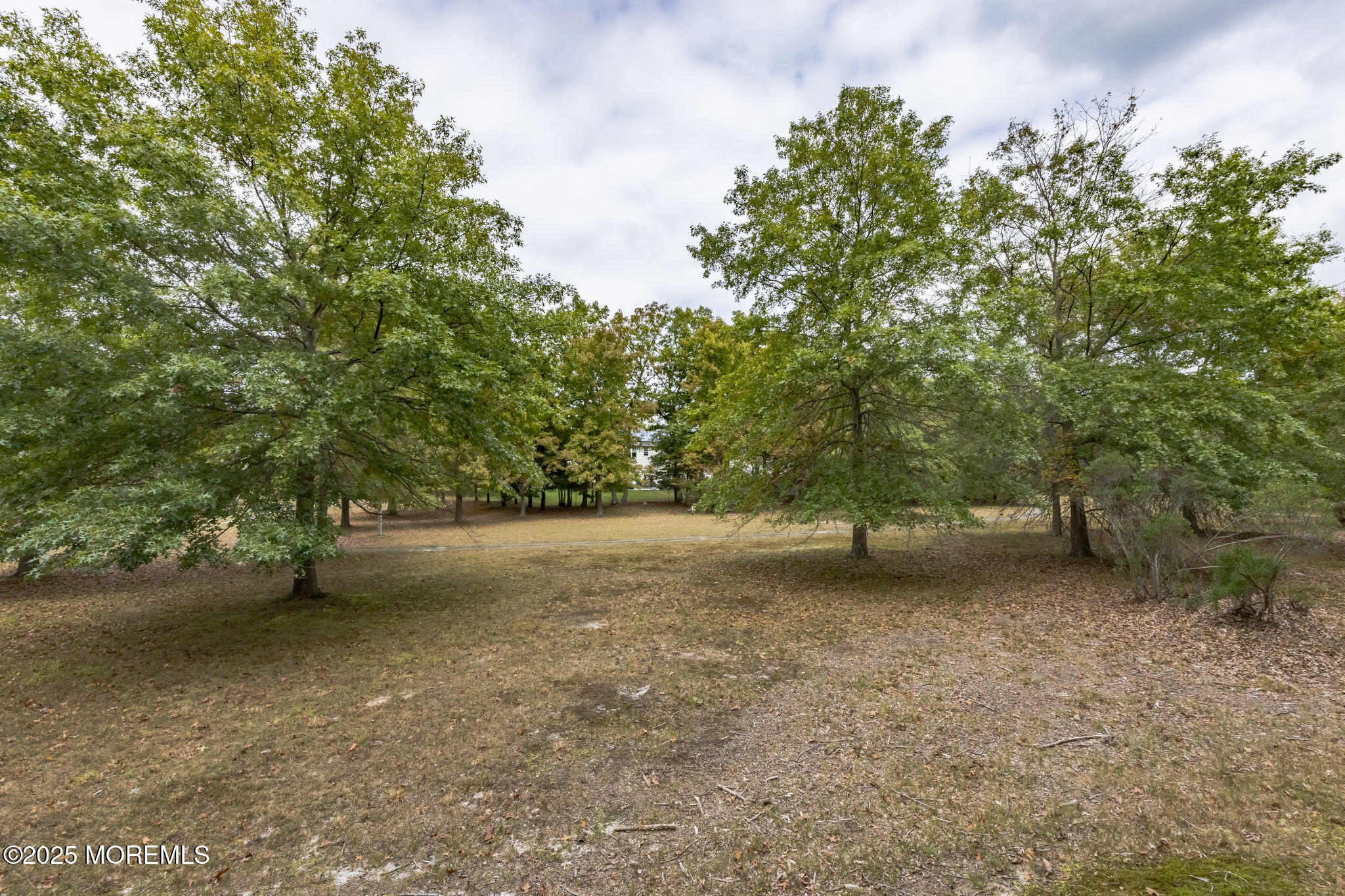 18 Mount Ranier Drive Howell, NJ 07731 - Photo 49 of 52 MR9