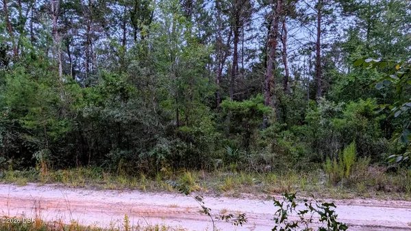 $30,000 | 105 Strawberry Lane, Pomona Park, FL 32181