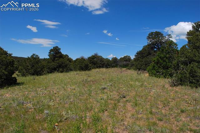 Williams Road Walsenburg, CO 81089 - Photo 8 of 19 Gallery Image 8