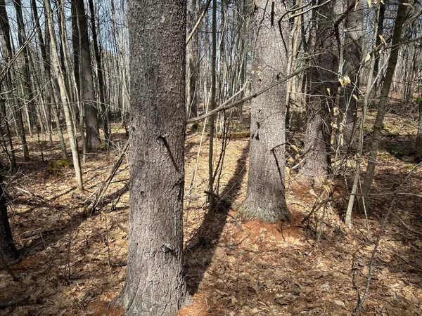 $464,900 | 704 Cedar Grove Road, Dresden, ME 04342