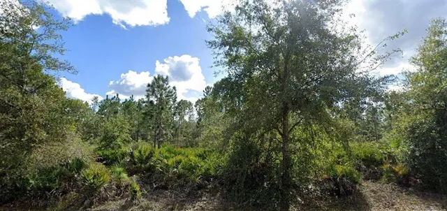 $14,500 | 1109 Alba Drive, Indian Lake Estates, FL 33855