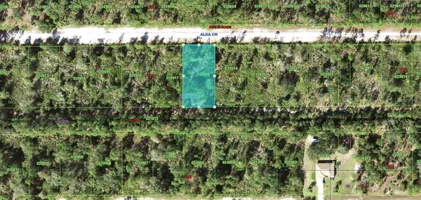 a view of a lush green forest with lots of trees