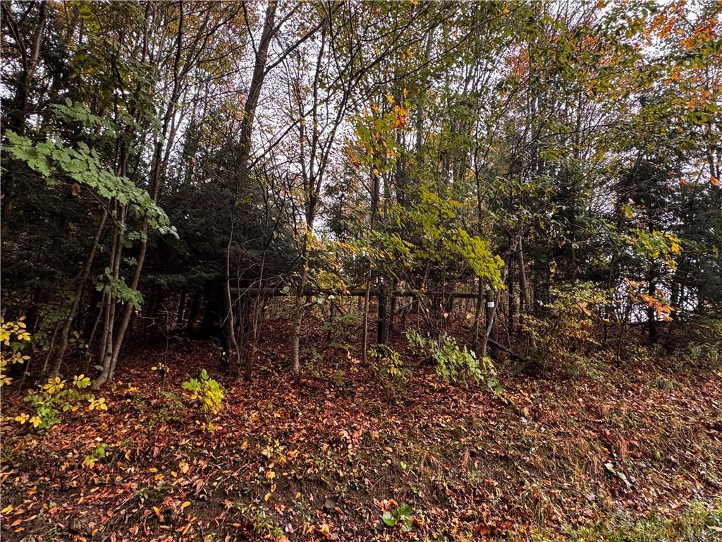 Lot 1 Dobbs Road Athens, PA 16438 - Photo 2 of 10