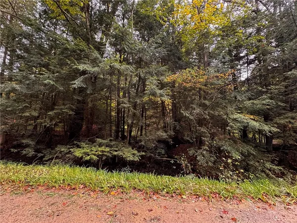 $200,000 | Lot 1 Dobbs Road, Athens, PA 16438