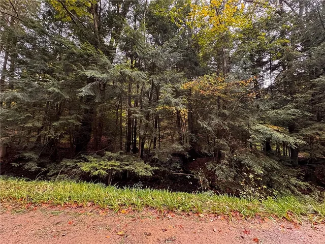 $255,000 | Lot 1 Dobbs Road, Athens, PA 16438