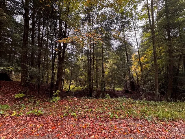 $255,000 | Lot 1 Dobbs Road, Athens, PA 16438