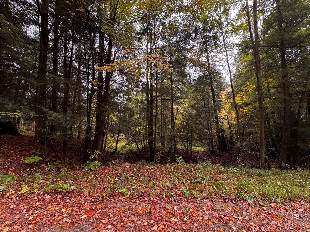 Lot 1 Dobbs Road Athens, PA 16438 - Photo 6 of 10