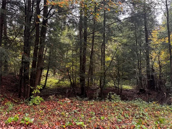 $200,000 | Lot 1 Dobbs Road, Athens, PA 16438