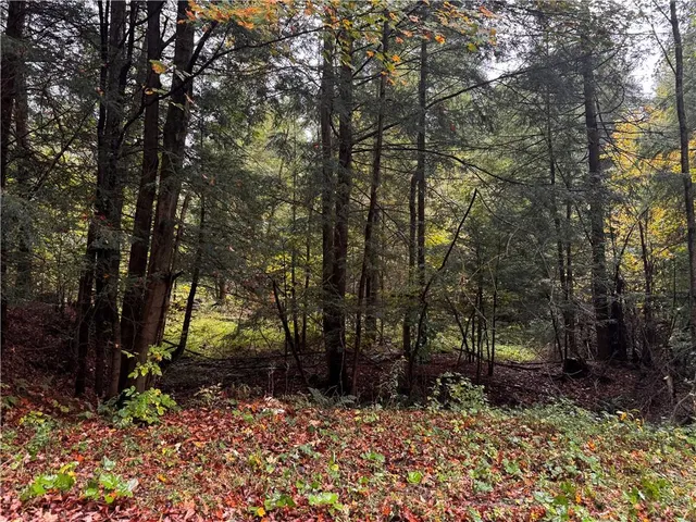 $255,000 | Lot 1 Dobbs Road, Athens, PA 16438