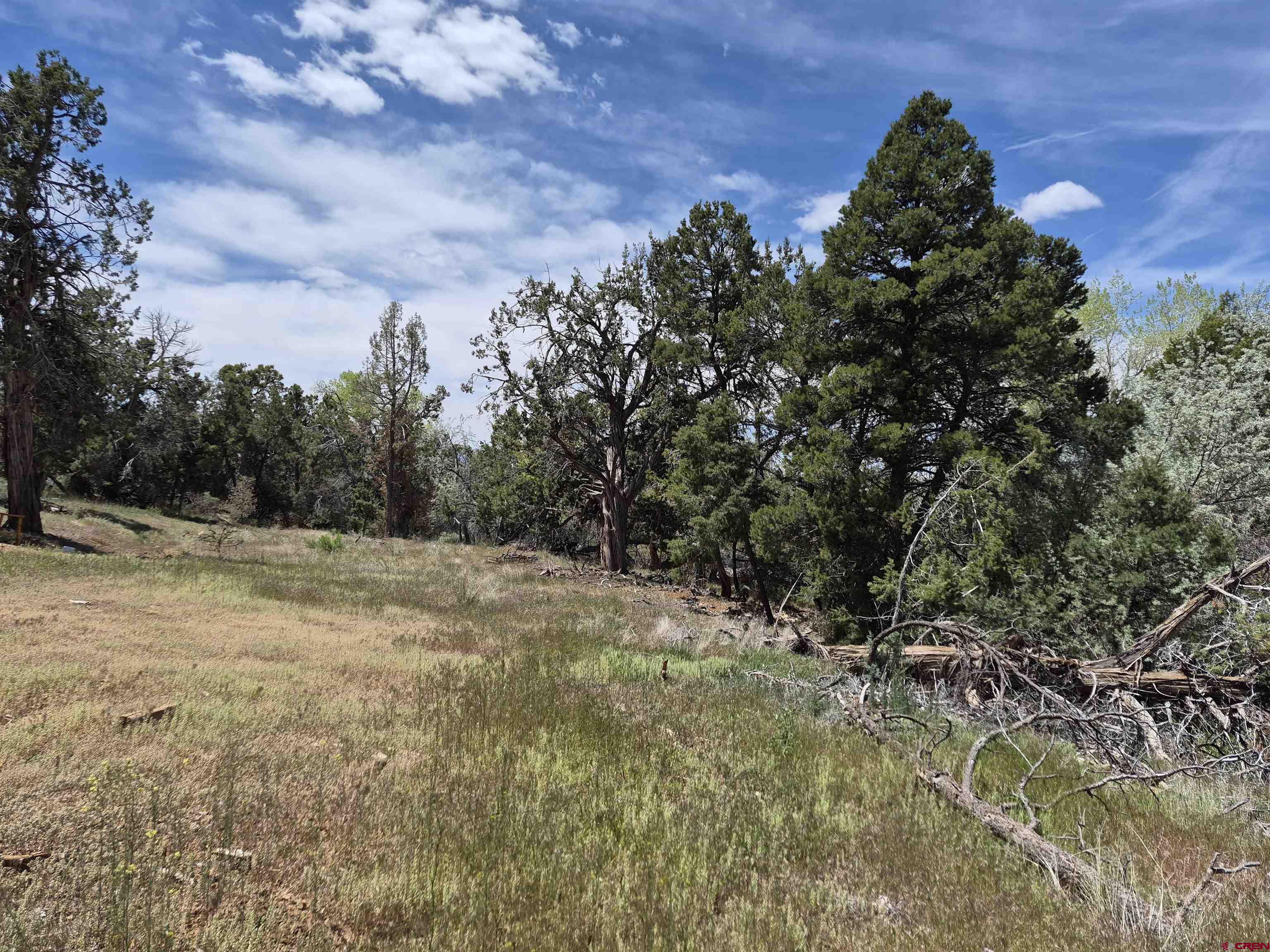25471 Rd T Dolores, CO 81323 - Photo 2 of 6