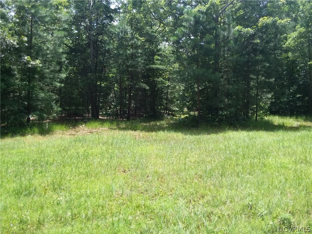 0 Sledd Road Powhatan, VA 23139 - Photo 3 of 3 Gallery Image 3
