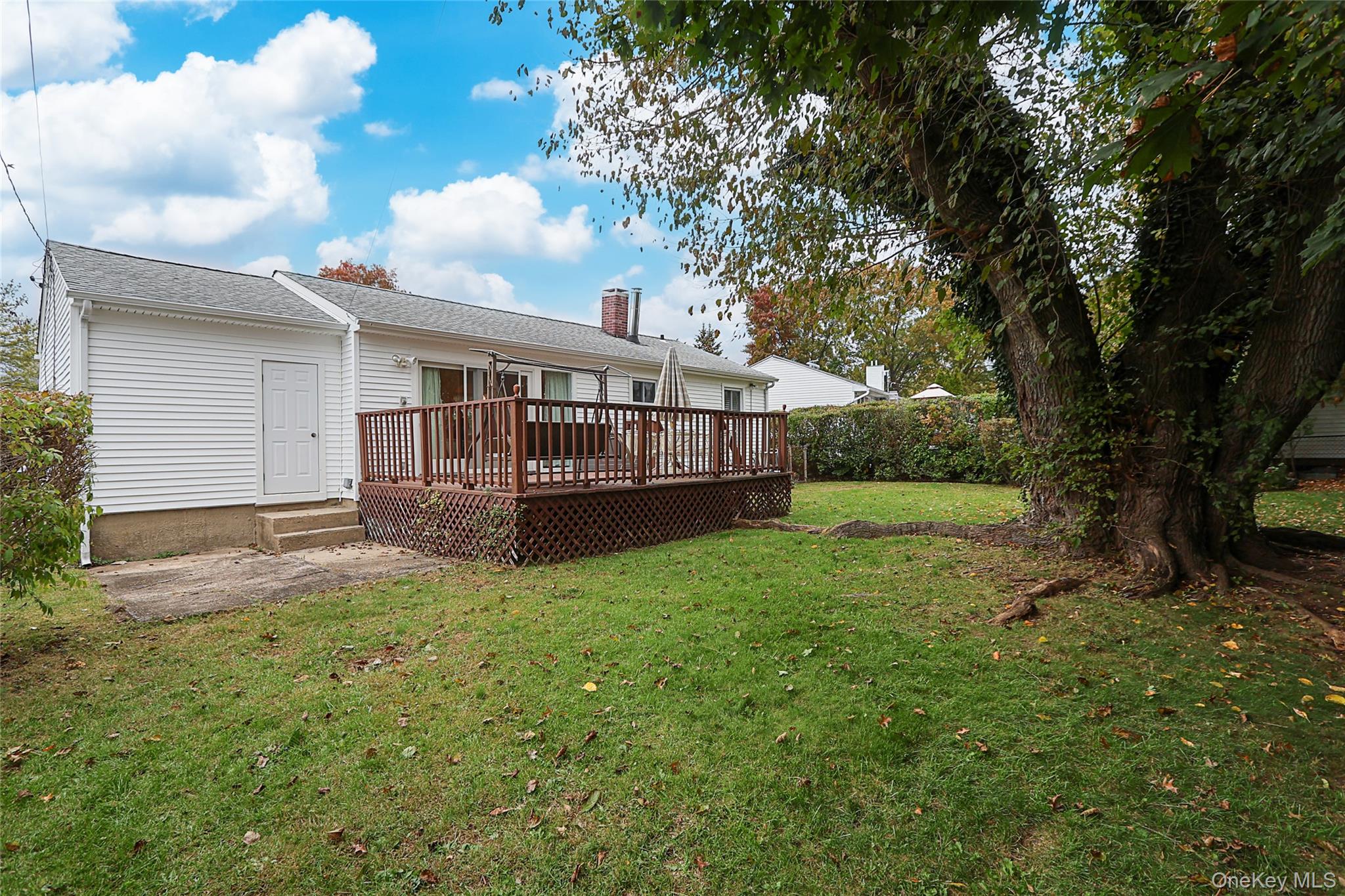 6 Gerhard Road Plainview, NY 11803 - Photo 20 of 29 a view of a house with backyard and a tree