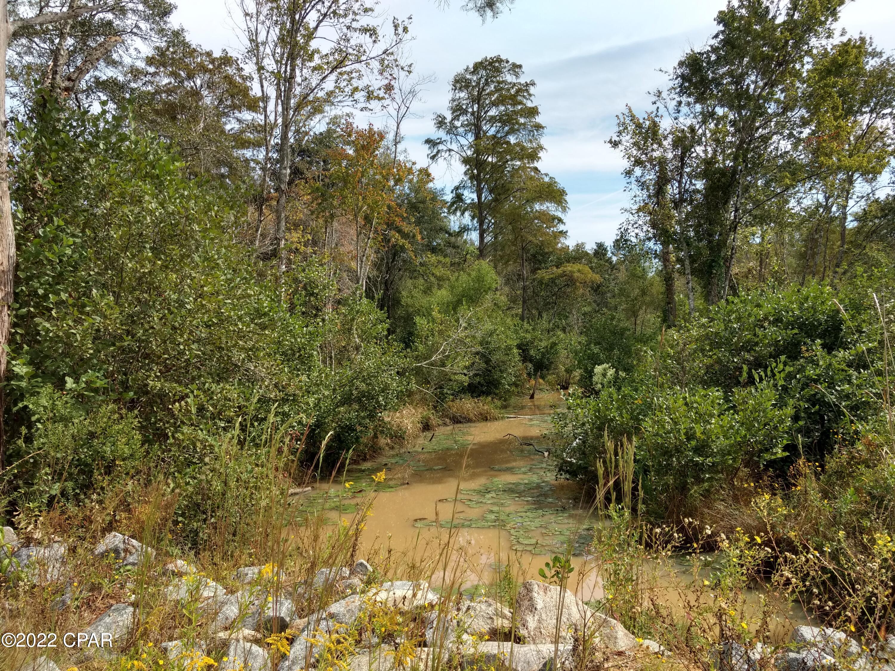 0 Sam Ard Road Bonifay, FL 32425 - Photo 4 of 5 Gallery Image 4