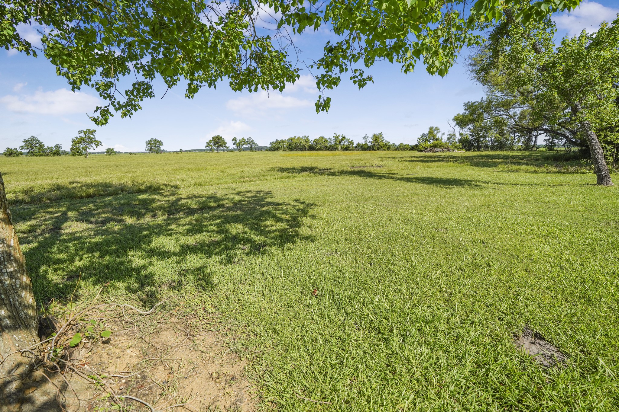 20547 Crosby Eastgate Road Crosby, TX 77532 - Photo 30 of 44
