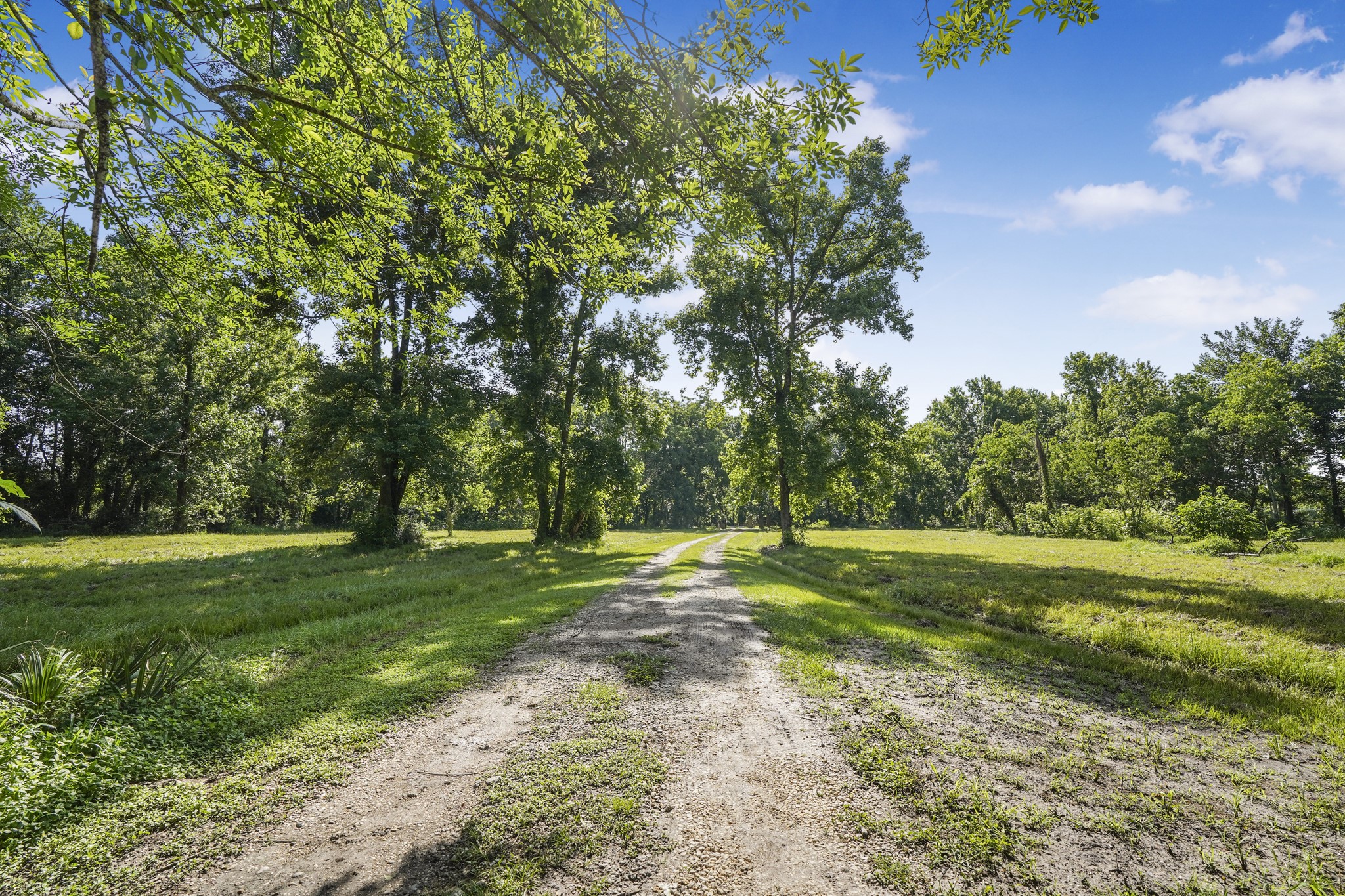 20547 Crosby Eastgate Road Crosby, TX 77532 - Photo 41 of 44 Long drive to the main road.