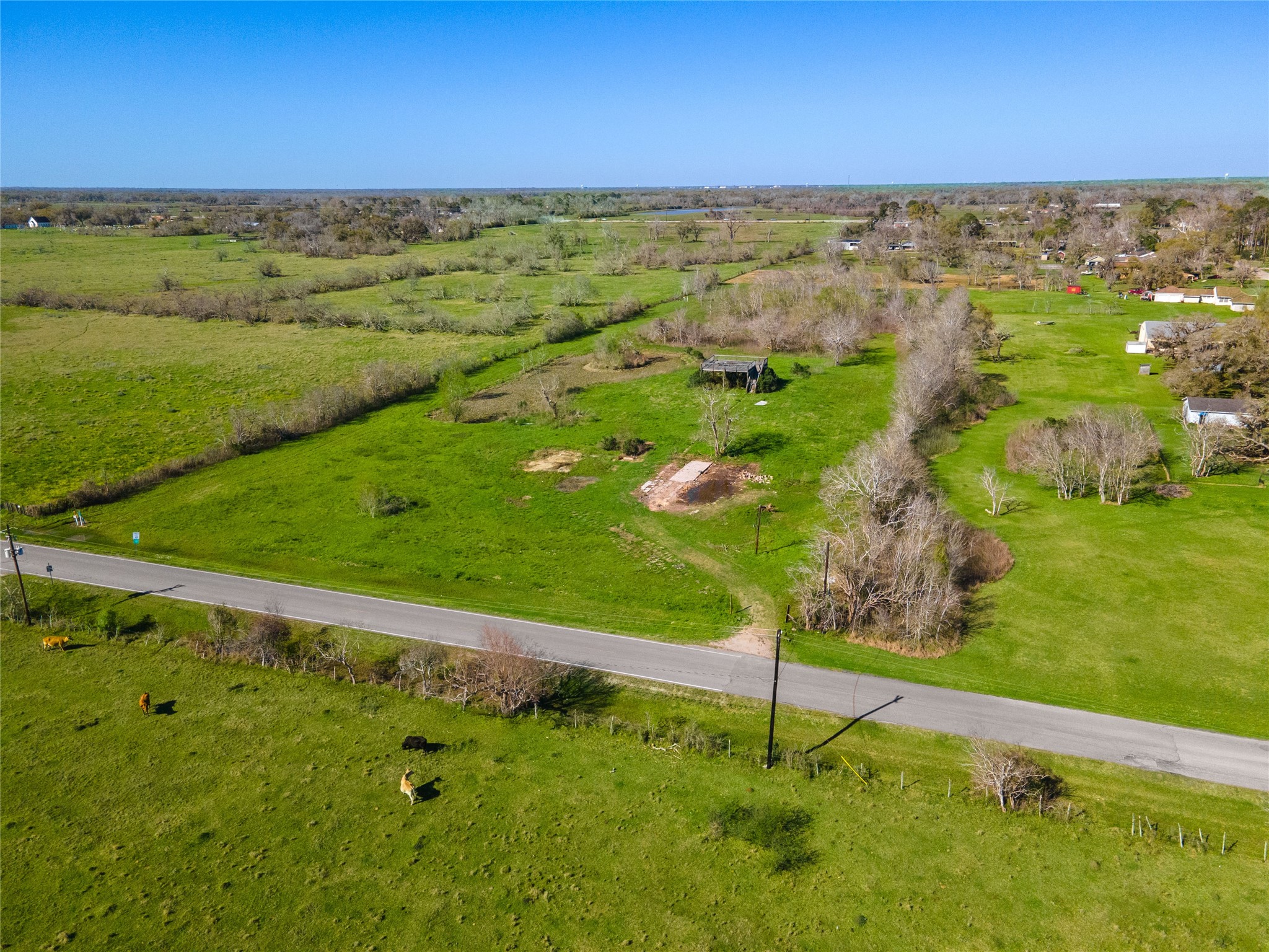7522 South F Austin Freeport, TX 77541 - Photo 1 of 13 a view of a garden
