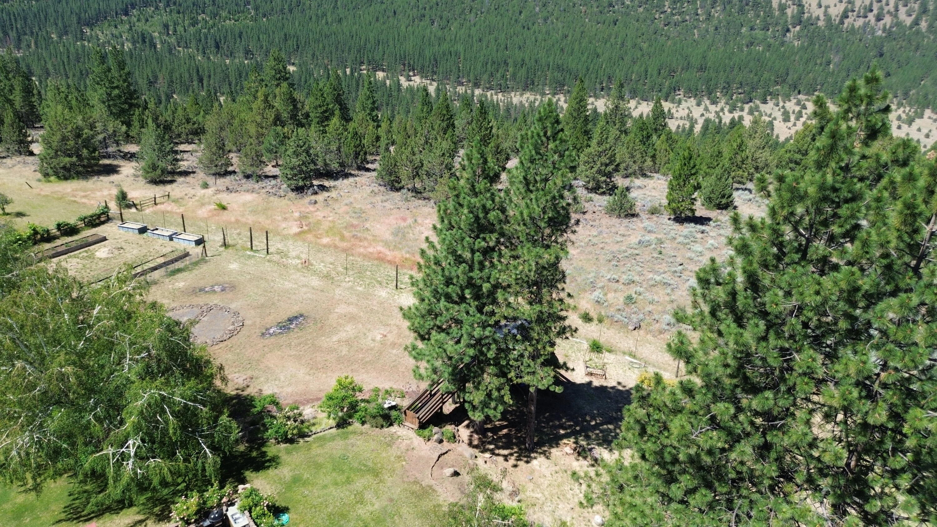 542-405 Punkin Center Road Bieber, CA 96009 - Photo 126 of 127 DJI_0402