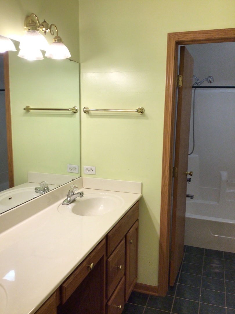 18690 Forest View Lane Lansing, IL 60438 - Photo 19 of 32 a bathroom with a sink and a mirror