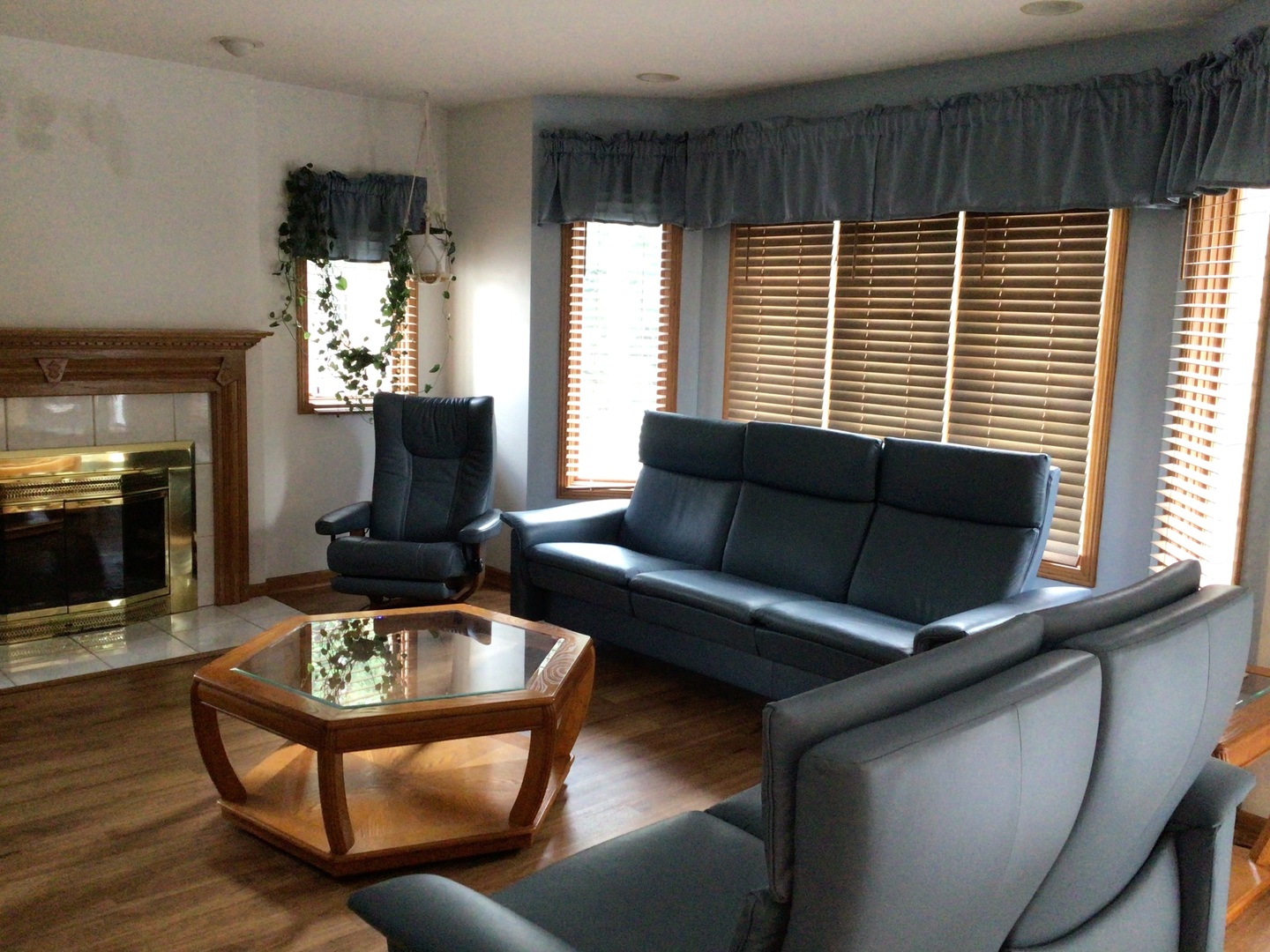 18690 Forest View Lane Lansing, IL 60438 - Photo 23 of 32 a living room with furniture and a fireplace