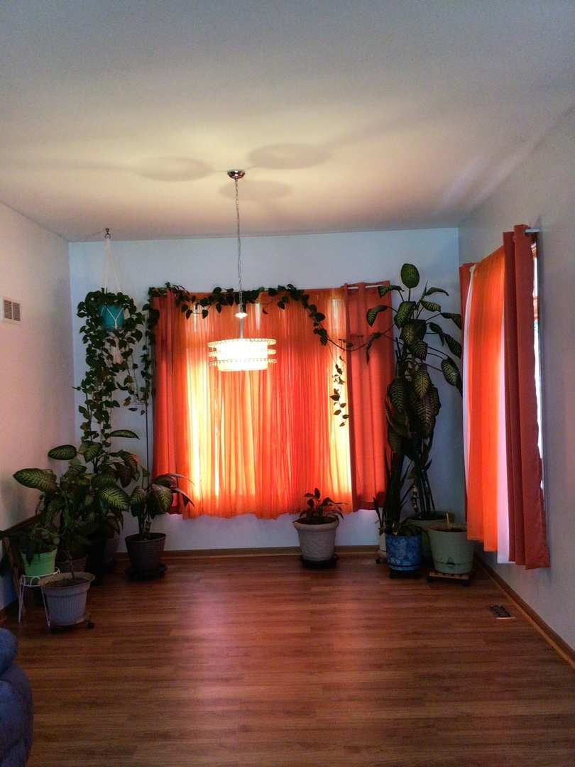 18690 Forest View Lane Lansing, IL 60438 - Photo 5 of 32 an entryway room with wooden floor and windows