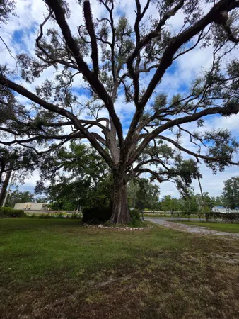 $82,000 | 7326 Southeast Farm Road, Lee, FL 32059