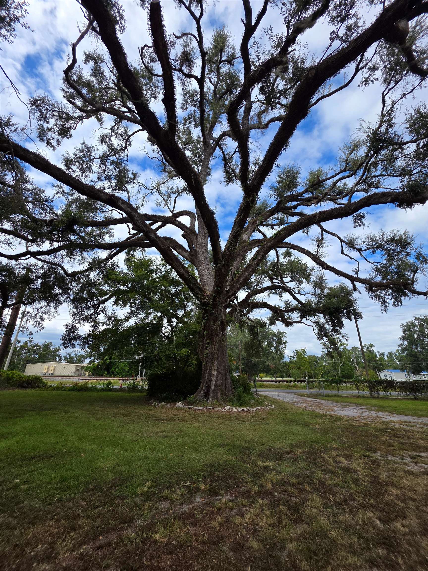 7326 Southeast Farm Road Lee, FL 32059 - Photo 9 of 24
