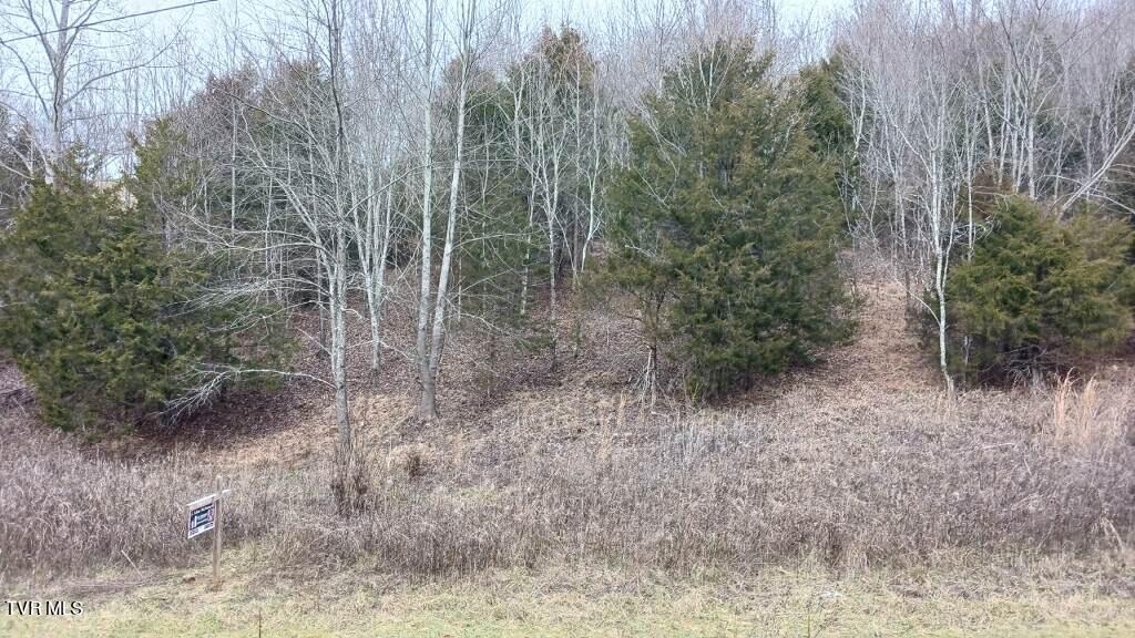 3 Charles Johnson Road Chuckey, TN 37641 - Photo 1 of 8 imagejpeg_0 (1)