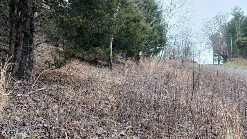 3 Charles Johnson Road Chuckey, TN 37641 - Photo 2 of 8 imagejpeg_0 (2)