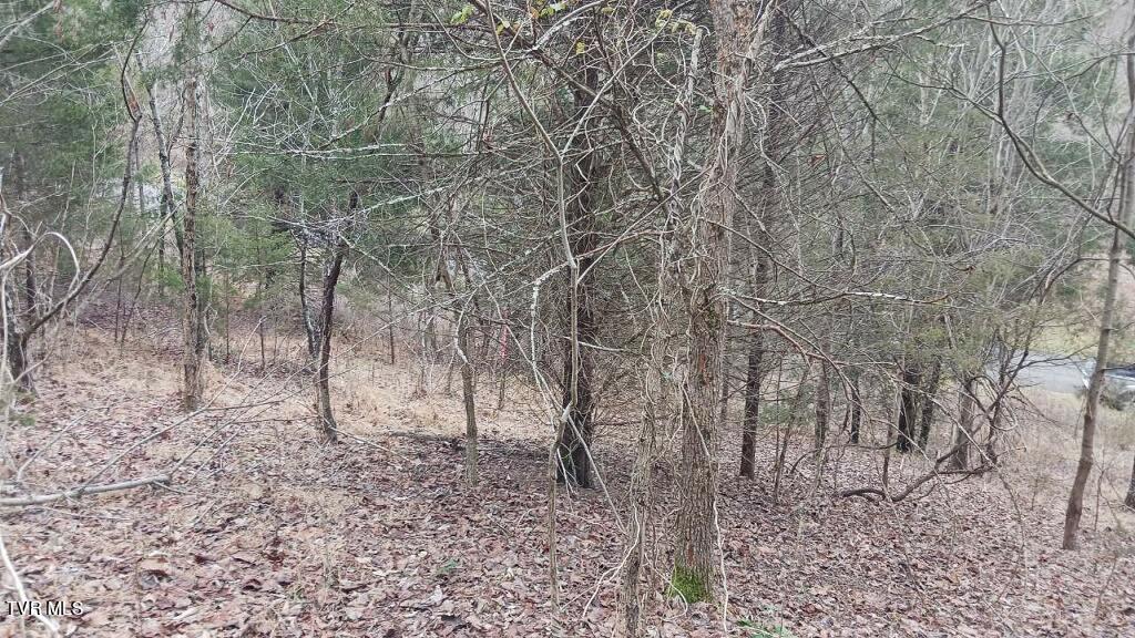 3 Charles Johnson Road Chuckey, TN 37641 - Photo 4 of 8 imagejpeg_1 (2)