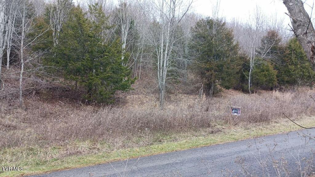 3 Charles Johnson Road Chuckey, TN 37641 - Photo 5 of 8 imagejpeg_1