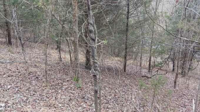 3 Charles Johnson Road Chuckey, TN 37641 - Photo 6 of 8 imagejpeg_2 (1)