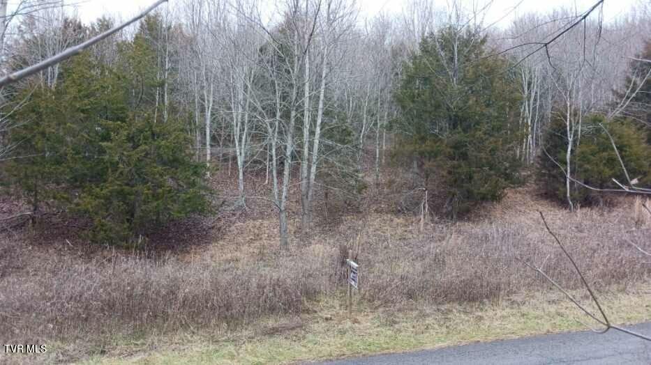 3 Charles Johnson Road Chuckey, TN 37641 - Photo 7 of 8 imagejpeg_2 (2)