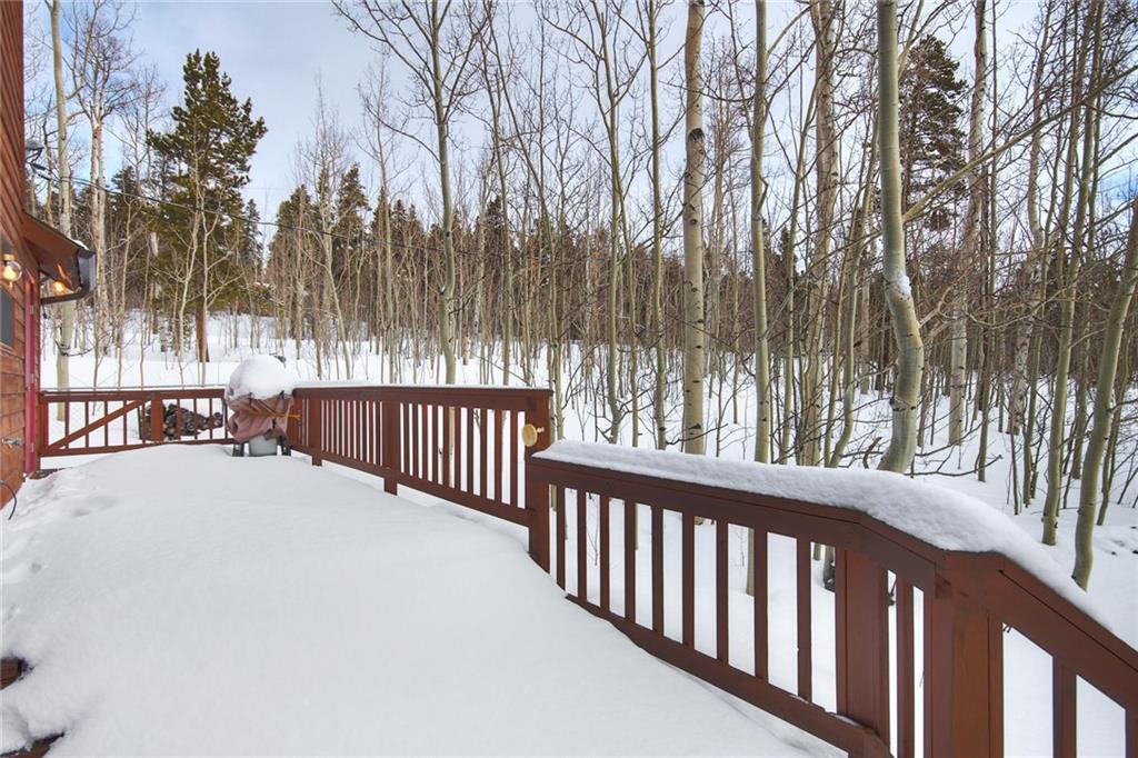 505 Warm Springs Road Fairplay, CO 80440 - Photo 11 of 35 Gallery Image 11