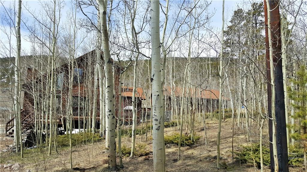 505 Warm Springs Road Fairplay, CO 80440 - Photo 14 of 35 Gallery Image 14