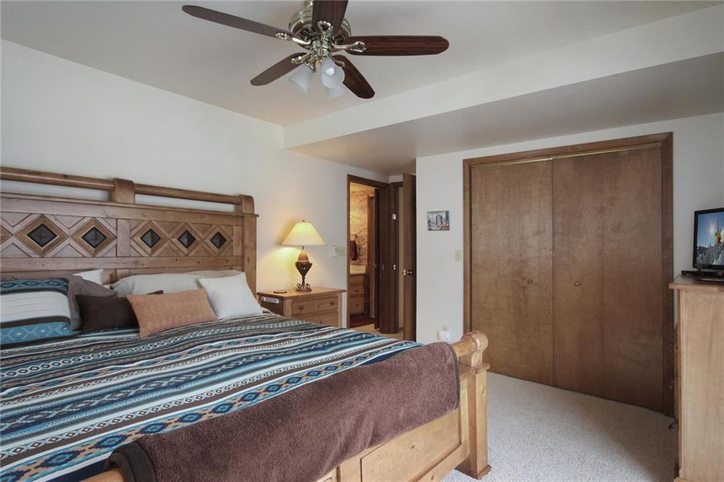 505 Warm Springs Road Fairplay, CO 80440 - Photo 19 of 35 Gallery Image 19