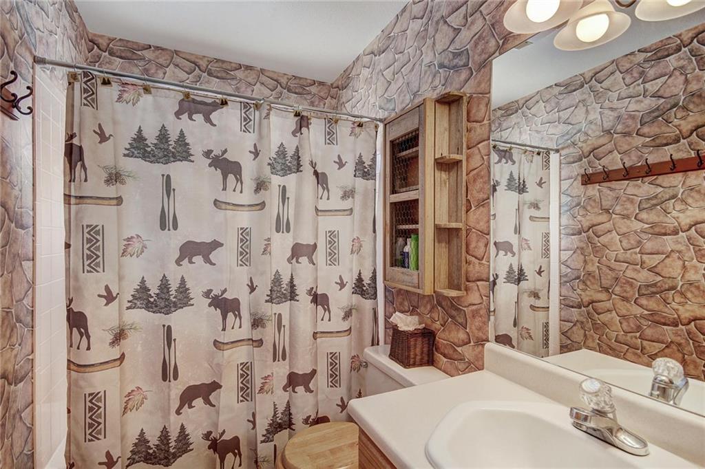 505 Warm Springs Road Fairplay, CO 80440 - Photo 20 of 35 Gallery Image 20