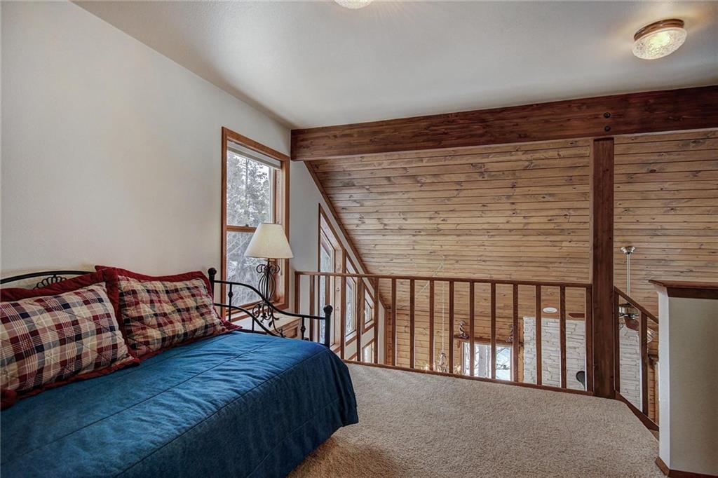 505 Warm Springs Road Fairplay, CO 80440 - Photo 21 of 35 Gallery Image 21