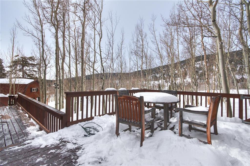 505 Warm Springs Road Fairplay, CO 80440 - Photo 27 of 35 Gallery Image 27